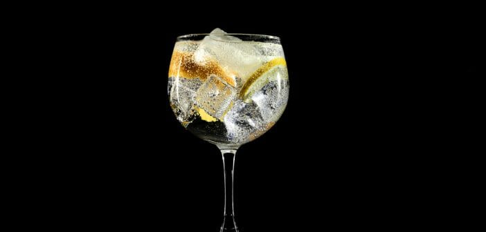 Le gin fait-il maigrir