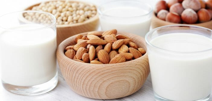 le-lait-vegetal-fait-il-maigrir