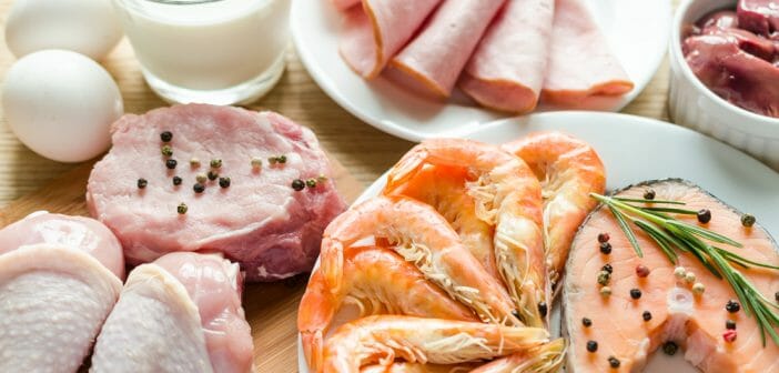 le-regime-proteine-en-poudre-est-il-efficace