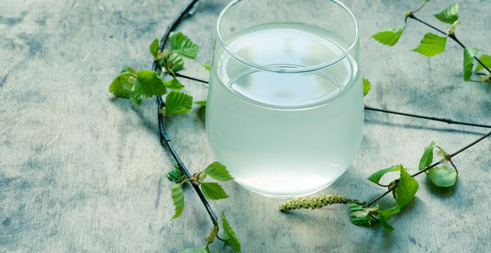 le-sirop-de-bouleau-pour-maigrir