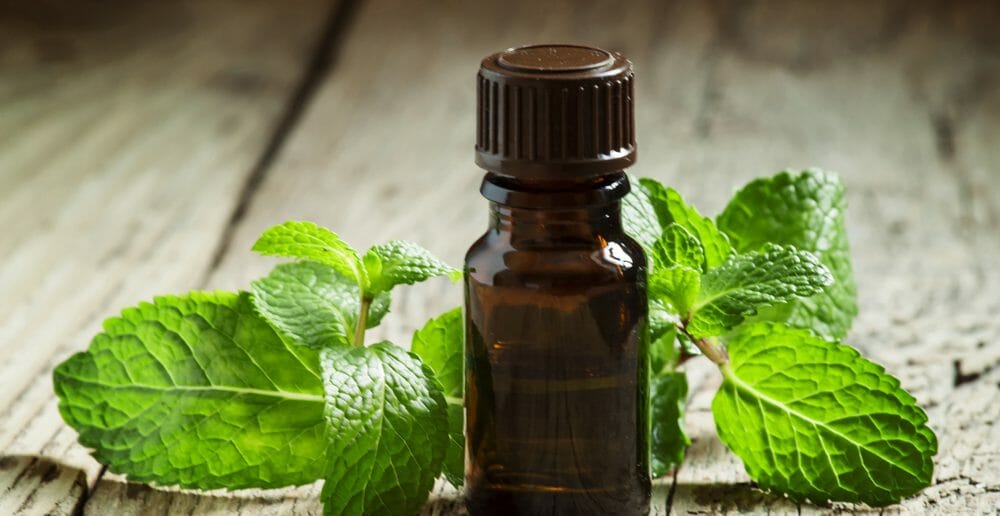 maigrir-avec-l-huile-essentielle-de-menthe-poivree