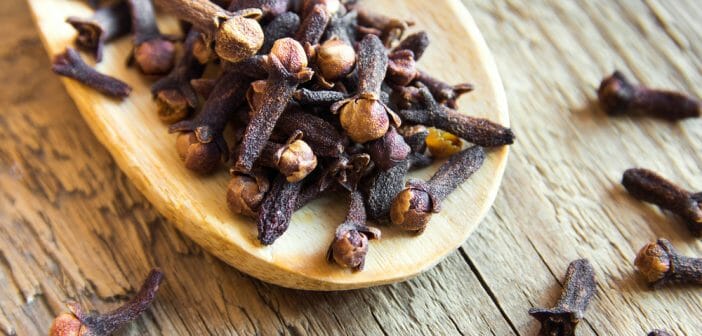 Maigrir avec l’infusion de clou de girofle ? - Le blog Anaca3.com