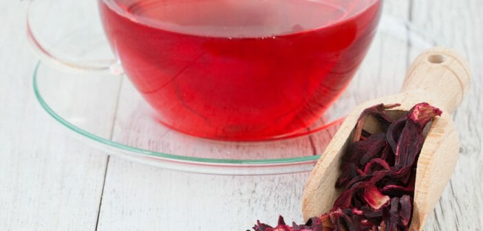 Maigrir avec la tisane aux fleurs séchées d'hibiscus