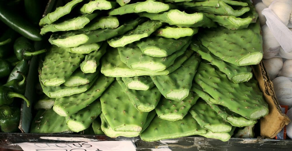 maigrir-avec-le-cactus-nopal