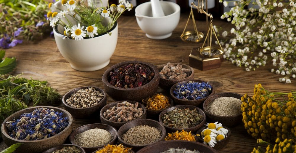 maigrir-avec-les-11-plantes-incontournables