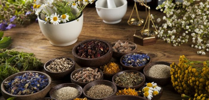 maigrir-avec-les-11-plantes-incontournables