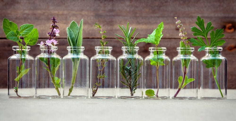 maigrir-avec-un-naturopathe