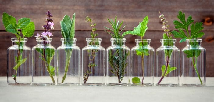 maigrir-avec-un-naturopathe