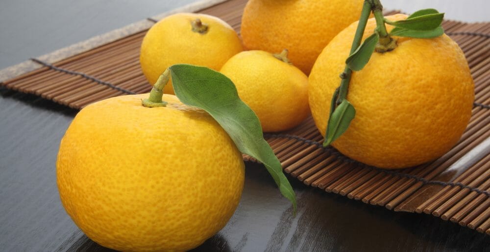 Quelles sont les vertus minceur du yuzu