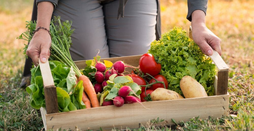 un-repas-bio-simple-et-facile-pour-maigrir