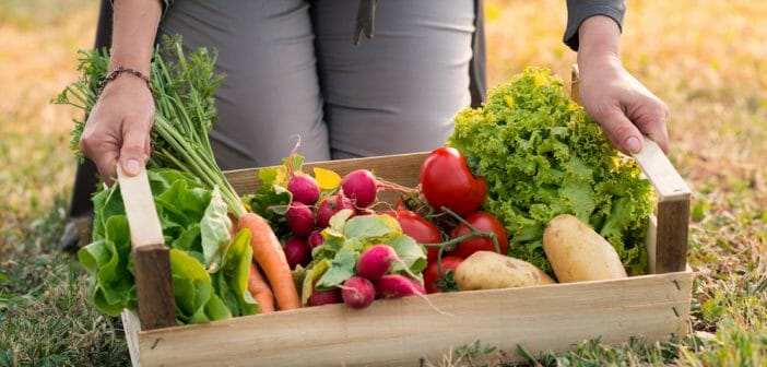 un-repas-bio-simple-et-facile-pour-maigrir