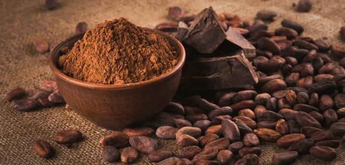 cacao-allie-maigrir