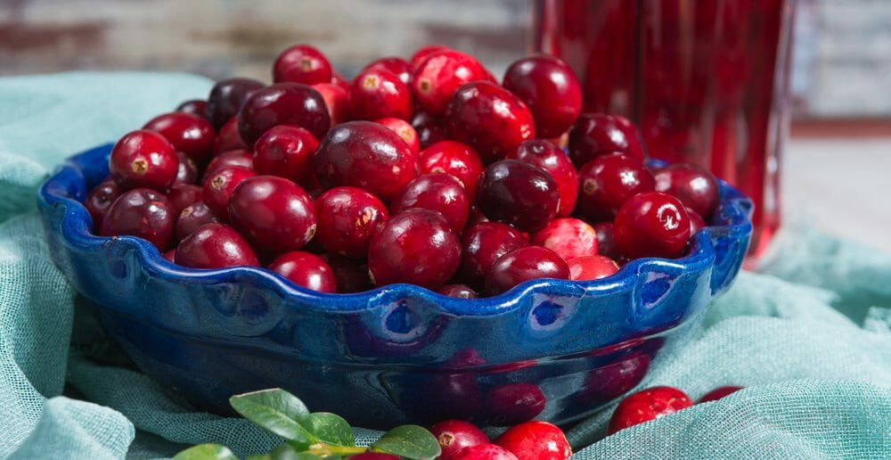 Canneberge, airelle et cranberry pour maigrir