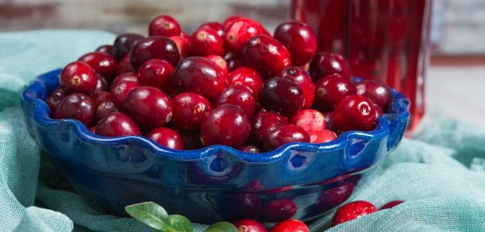 Canneberge, airelle et cranberry pour maigrir