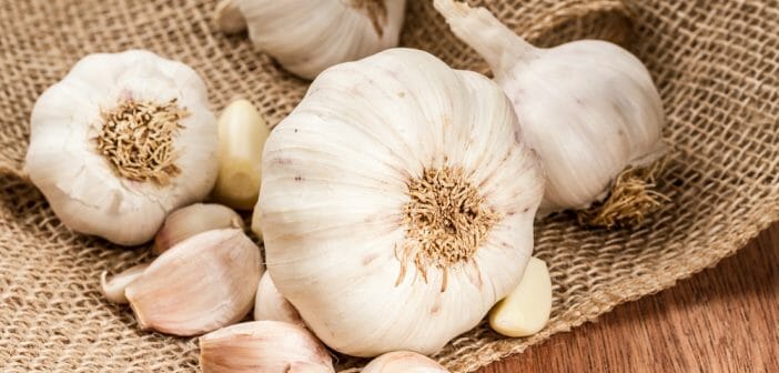 Consommer de l'ail pour avoir un ventre plat