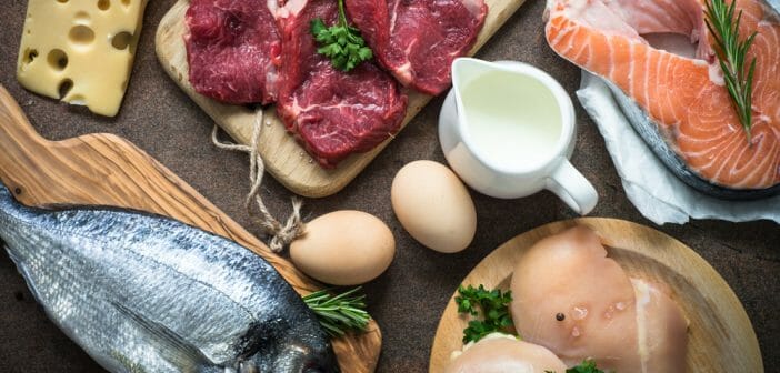 Faut-il préférer la viande ou le poisson pendant le régime