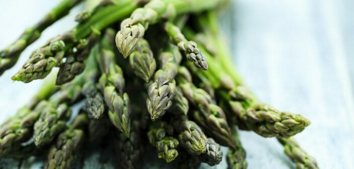 L’asperge est-il un bon aliment pour un régime