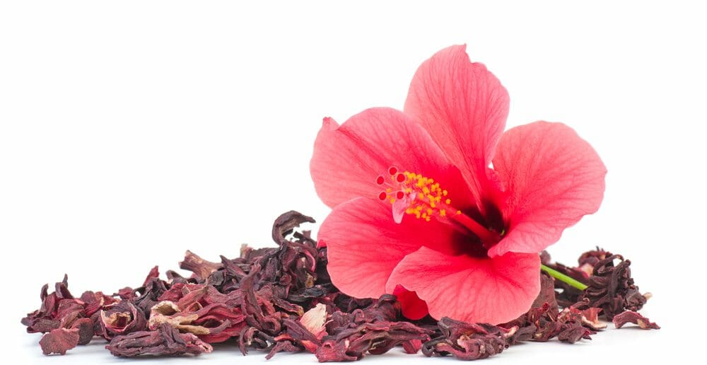 L'hibiscus pour maigrir