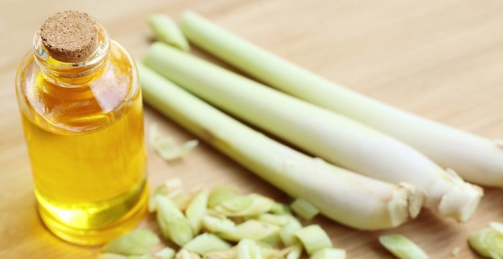 L'huile essentielle de citronnelle pour maigrir