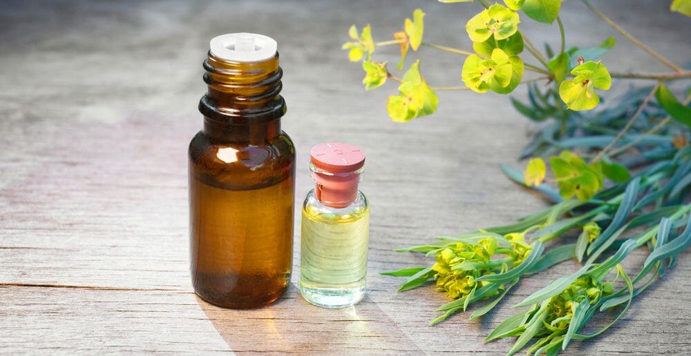 L'huile essentielle de cyprès bio contre la cellulite