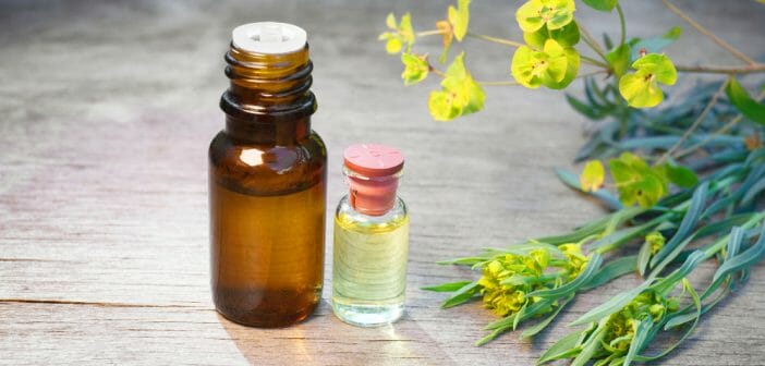 L'huile essentielle de cyprès bio contre la cellulite