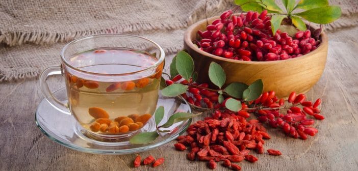 L'infusion de baie de goji pour maigrir
