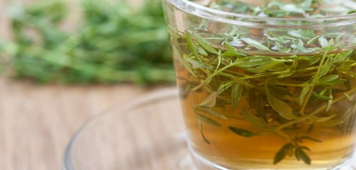 L’infusion de thym a-t-elle des vertus diurétiques