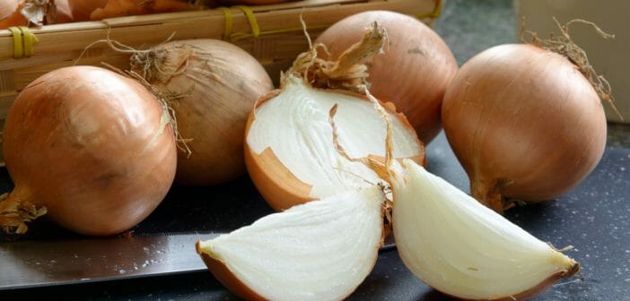 L'oignon est-il autorisé dans le régime Dukan