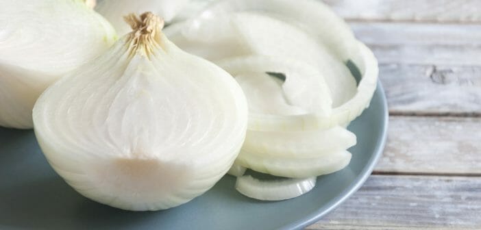 L'oignon est-il autorisé dans le régime sans résidu