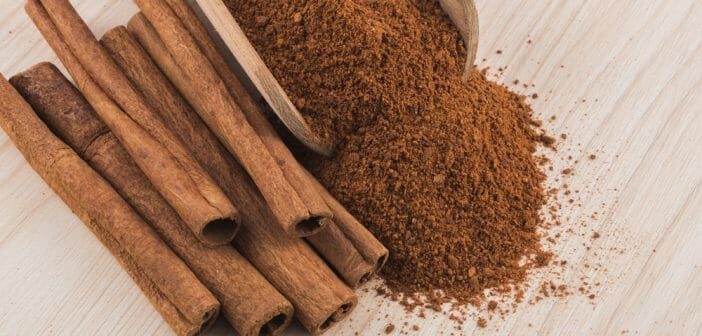 La cannelle en poudre, une alliée pour maigrir