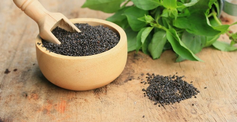 La graine de basilic fait-elle maigrir