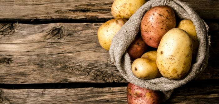 La pomme de terre a-t-elle un effet coupe-faim