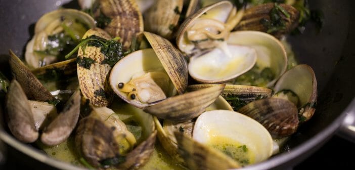 Les palourdes, de bonnes alliées pendant un régime alimentaire