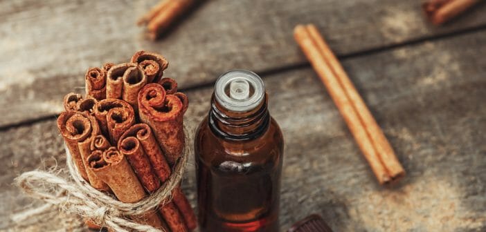 Maigrir avec l'huile essentielle de cannelle