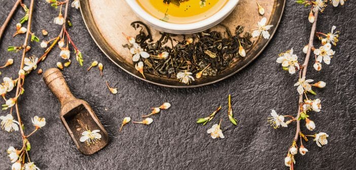 maigrir-faut-boire-the-noir-vert