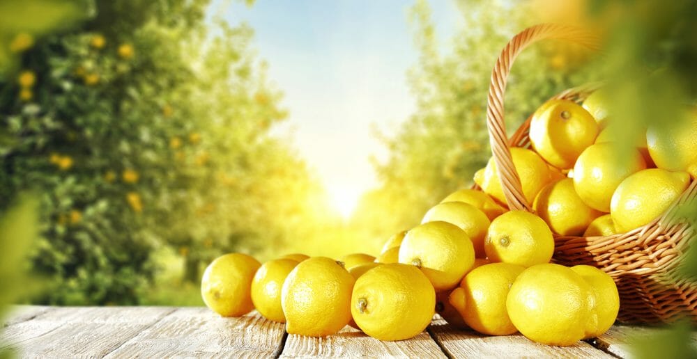Menu pour perdre 5 kg en 1 semaine avec le citron
