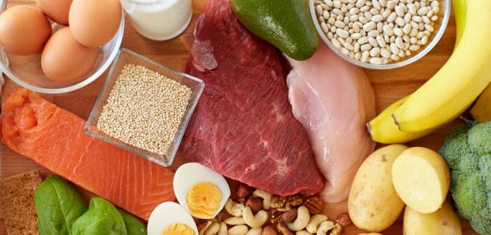 Un régime riche en protéines sans glucides pour maigrir