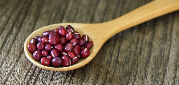 combien-de-calories-haricots-azukis