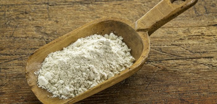 farine-de-quinoa-grossir