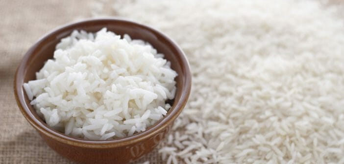 Faut-il manger du riz pour perdre du ventre