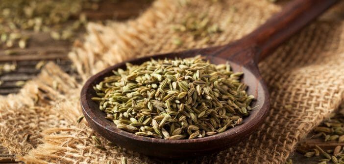 L’anis vert fait-il maigrir