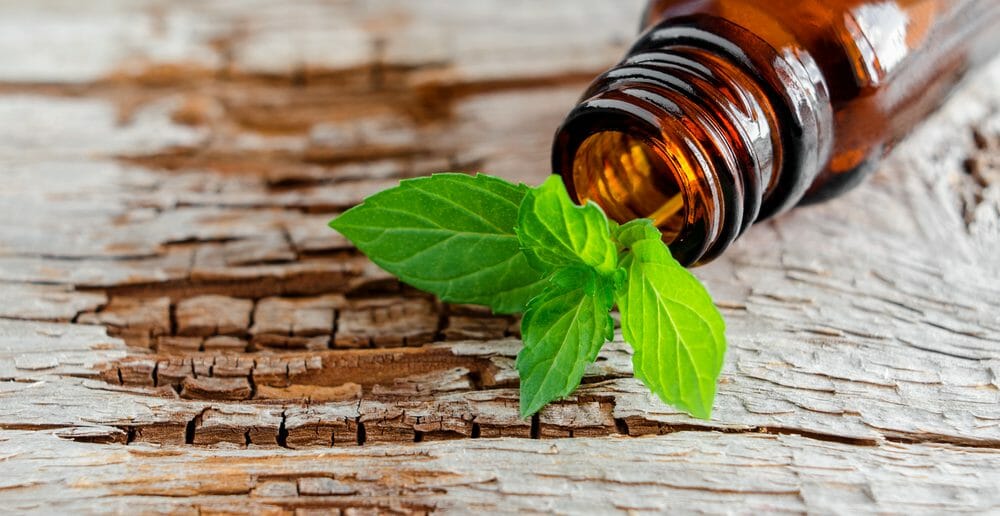 les-proprietes-de-lhuile-essentielle-de-palmarosa-pour-lutter-contre-la-cellulite