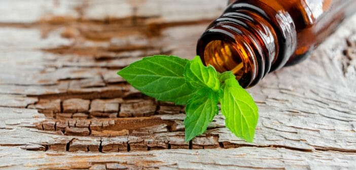 les-proprietes-de-lhuile-essentielle-de-palmarosa-pour-lutter-contre-la-cellulite