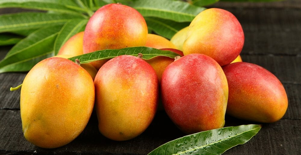 Manger une mangue le soir fait-il grossir