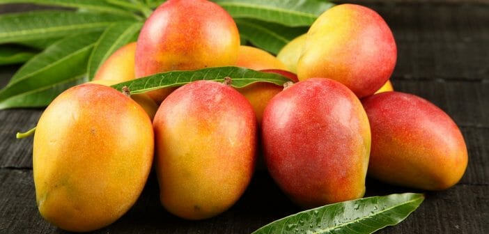 Manger une mangue le soir fait-il grossir
