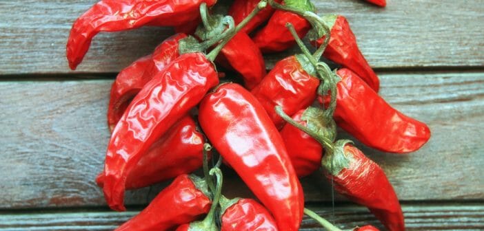 piment-despelette-regime-bonne-idee