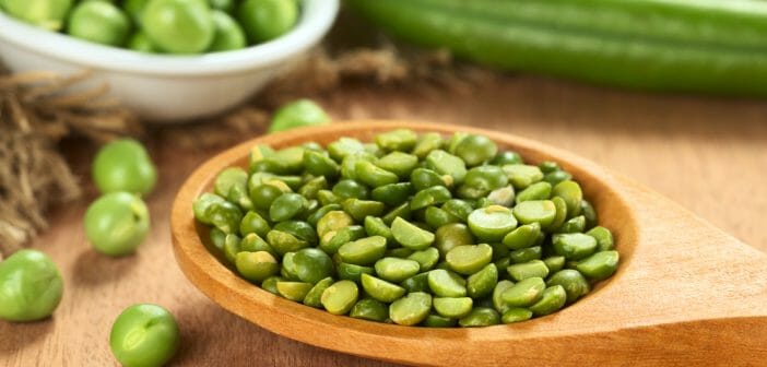 pois-casses-grossir