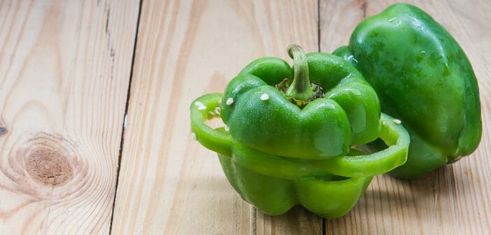 poivron-vert-maigrir