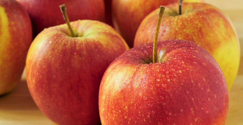 pomme-reinette-calorique