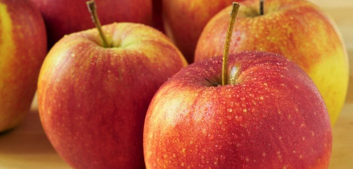 pomme-reinette-calorique